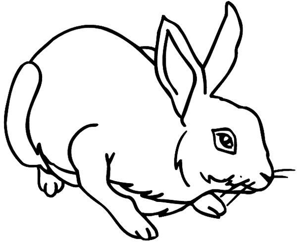 Rabbit vinyl sticker. Customize on line.      Animals Insects Fish 004-1127  
